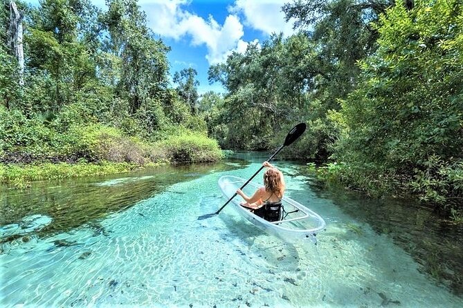 Rock Springs 2-Hour Glass Bottom Guided Kayak Eco Tour - Key Things That Make This Kayak Tour Worth Your Time
