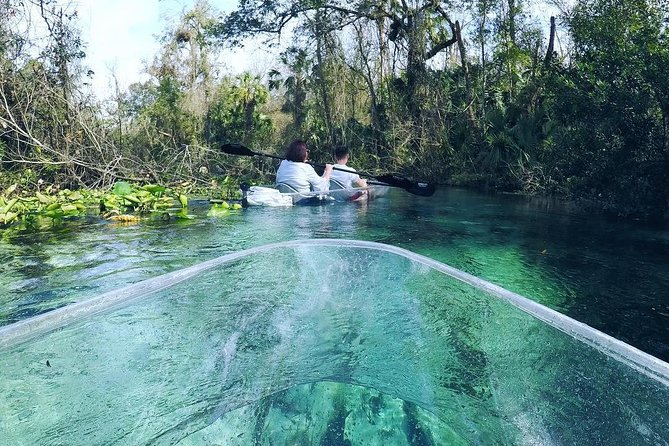 Rock Springs 2-Hour Glass Bottom Guided Kayak Eco Tour - The Platform Break: Optional Jump, Spring Water Cool-Off, and Rope Swing Fun