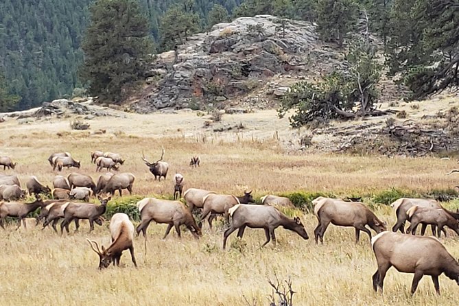 Rocky Mountain National Park and Estes Park Tour from Denver Winter and Spring - Leaving Denver at 8:15, and getting Colorado started fast