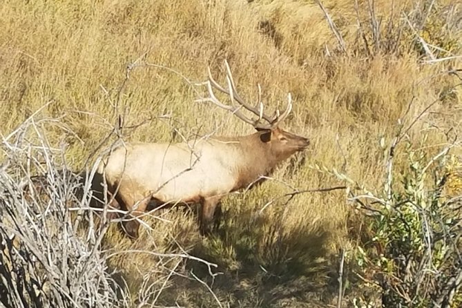 Rocky Mountain National Park and Estes Park Tour from Denver Winter and Spring - Price and value: why $149 can make sense