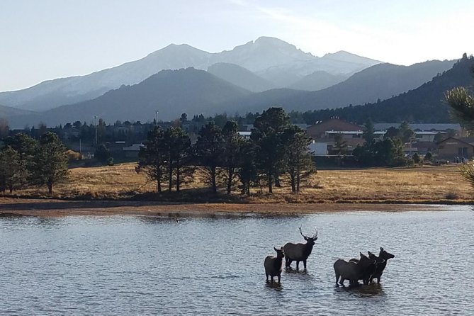 Rocky Mountain National Park and Estes Park Tour from Denver Winter and Spring - Boulder to Beaver Meadows: the route that sets you up for elk chances