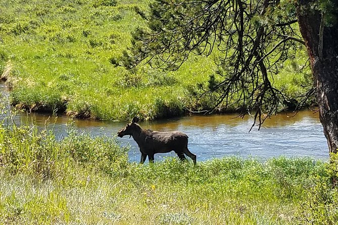 Rocky Mountain National Park in Summer Tour from Denver - Alpine Visitor Center: Ranger Talk, Gift Shop, and 360-Degree Views