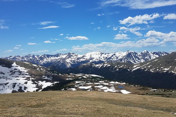 Rocky Mountain National Park in Summer Tour from Denver - Milner Pass and Forest Canyon Overlook: Photo Stops That Actually Mean Something
