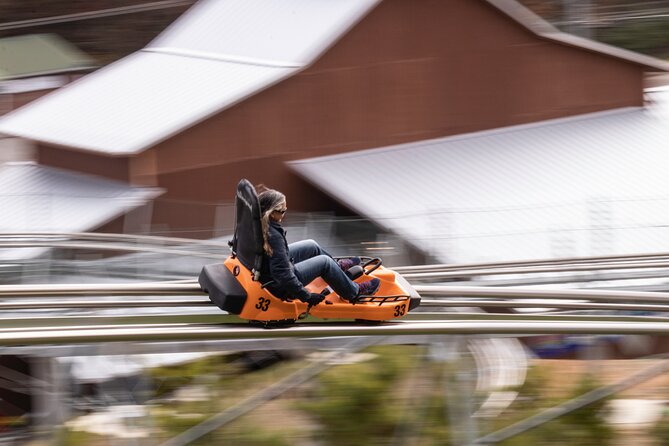 Rocky Top Mountain Coaster Admission Ticket in Pigeon Forge - The ride setup: hand brakes, real control, and why speed feels different