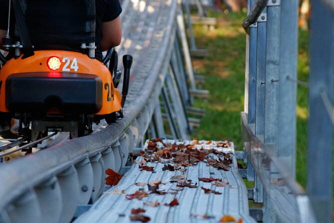 Rocky Top Mountain Coaster Admission Ticket in Pigeon Forge - Family fit: who will enjoy it most and who should be cautious