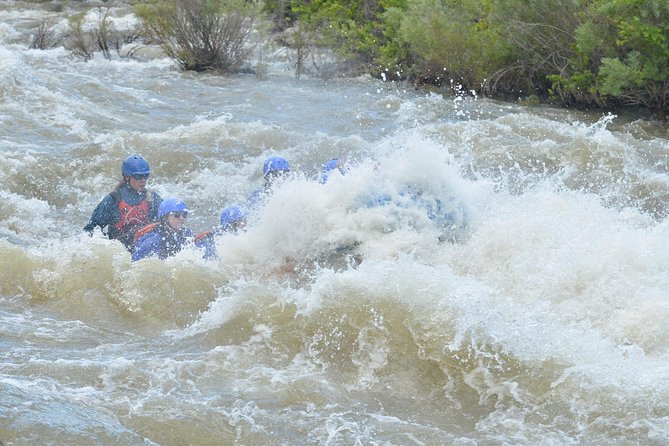 Royal Gorge Half-Day Rafting Trip - Check-in, timing, and how the trip starts