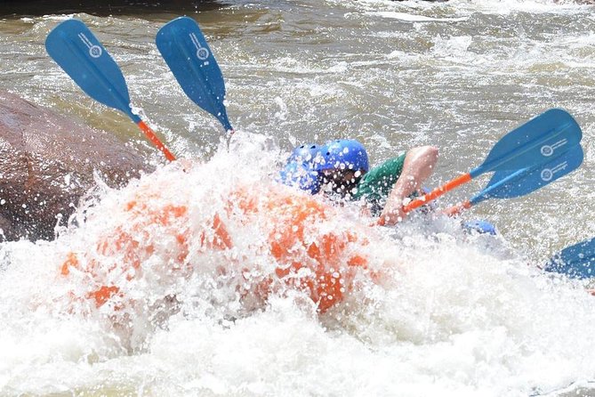 Royal Gorge Half-Day Rafting Trip - Wildlife spotting and scenic moments between rapids