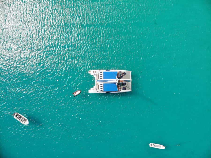 Sal: All-Inclusive Half-Day Lounge Catamaran Cruise - What You’ll Love Most