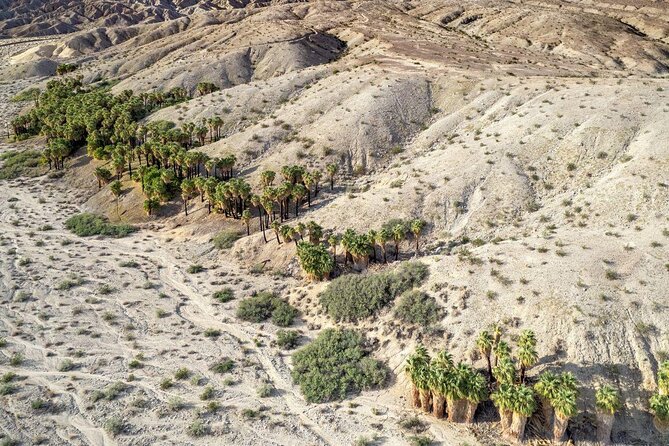 San Andreas Fault Jeep Tour from Palm Desert - San Andreas Fault Jeep Tour from Palm Desert: what you’re really paying for