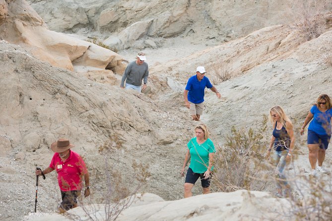 San Andreas Fault Jeep Tour from Palm Desert - Who this San Andreas Fault Jeep Tour is best for (and who should skip it)