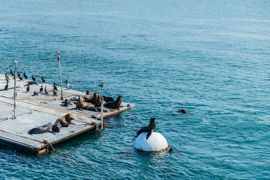 San Diego: Harbor Cruise - Who this cruise is best for
