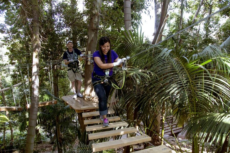 San Diego: San Diego Zoo Safari Park 1-Day Ticket - Kids and families: Discovery Station, Petting Kraal, and digital fun