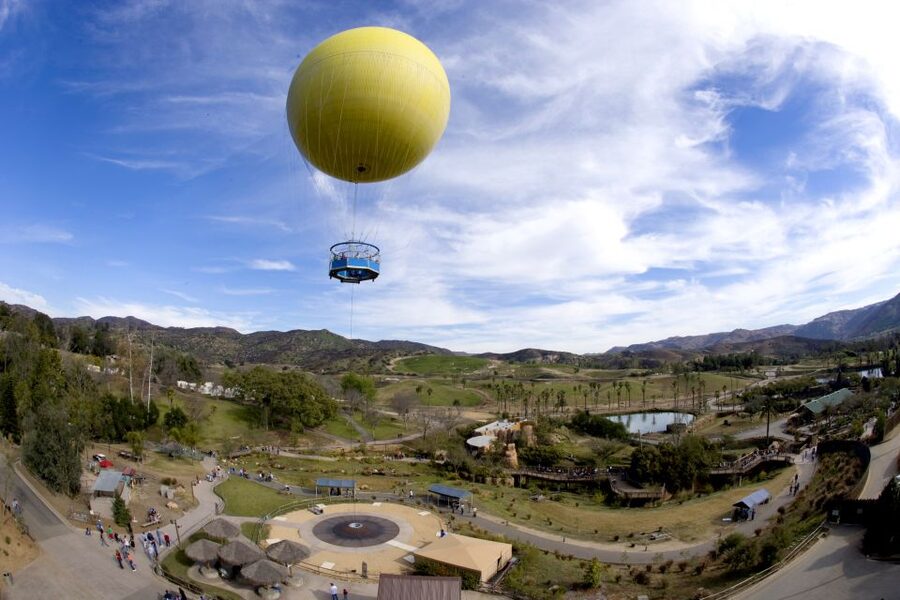 San Diego: San Diego Zoo Safari Park 1-Day Ticket - Why the San Diego Zoo Safari Park feels like an African safari (even at Escondido)