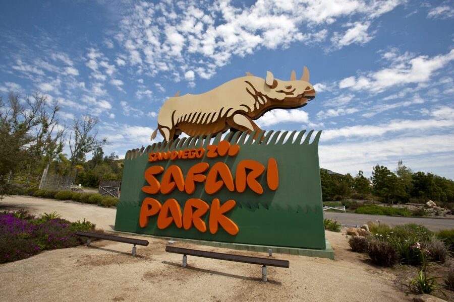 San Diego: San Diego Zoo Safari Park 1-Day Ticket - Getting in fast: turnstiles, vouchers, and your best entry strategy