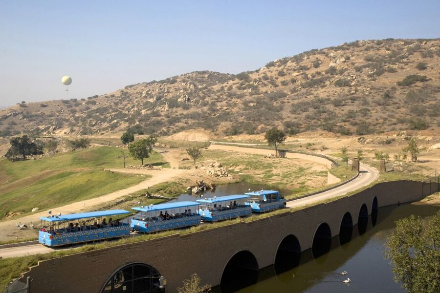 San Diego: San Diego Zoo Safari Park 1-Day Ticket - Safari Park route plan: start with Lion Camp or save it for later?
