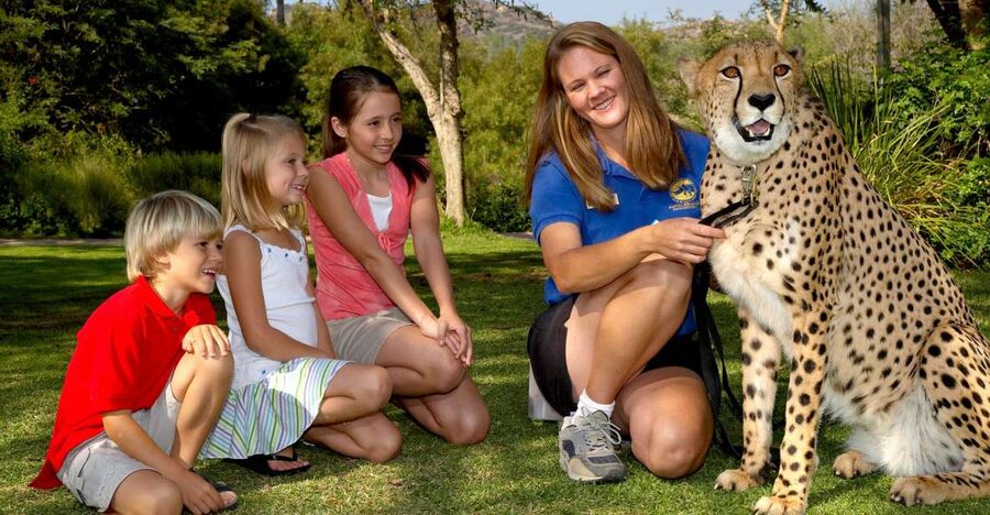 San Diego: San Diego Zoo Safari Park 1-Day Ticket - Elephants from the air: Elephant Overlook and enrichment timing