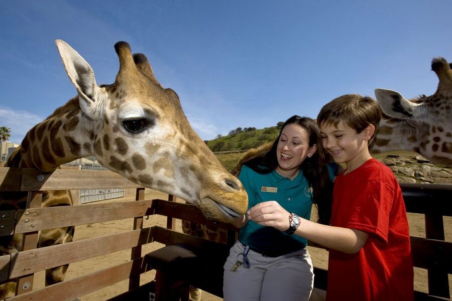 San Diego: San Diego Zoo Safari Park 1-Day Ticket - Tiger Trail, Cheetah Tales, and Animal Encounters up close
