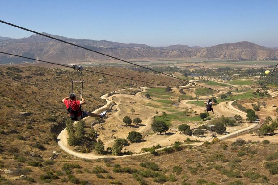San Diego: San Diego Zoo Safari Park 1-Day Ticket - Bird power day: Wings of the World, Condor Ridge, and Frequent Flyers