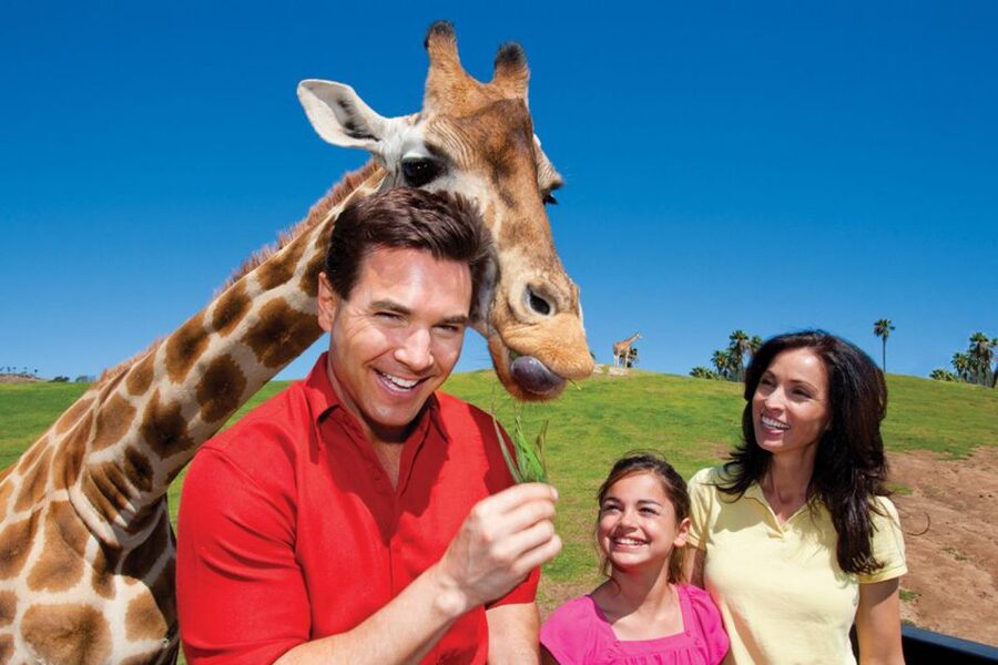 San Diego: San Diego Zoo Safari Park 1-Day Ticket - Ticket value: what your $76 1-day pass really buys