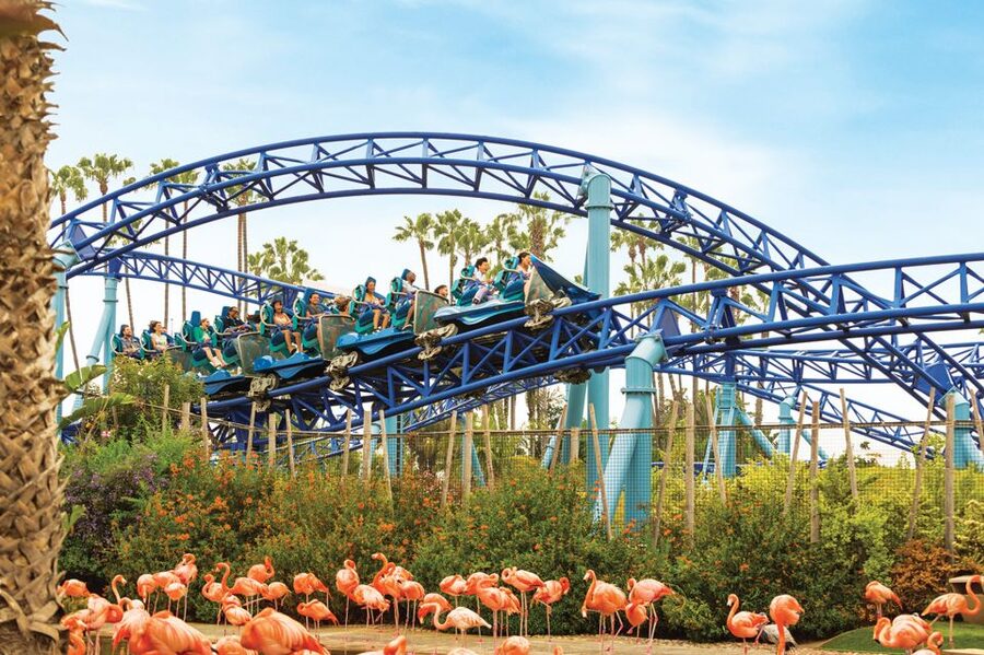 San Diego: SeaWorld Skip-the-Line Park Admission Ticket - Entering SeaWorld San Diego Faster Than Usual