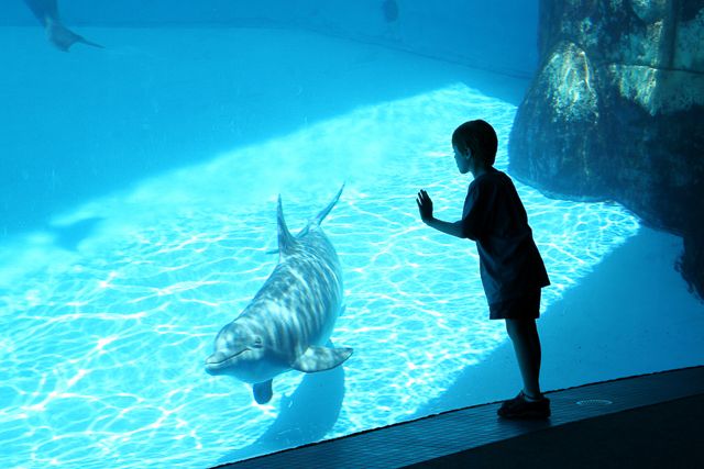 San Diego: SeaWorld Skip-the-Line Park Admission Ticket - Hands-On Time and Touchpools: Make It Educational, Not Just Fun