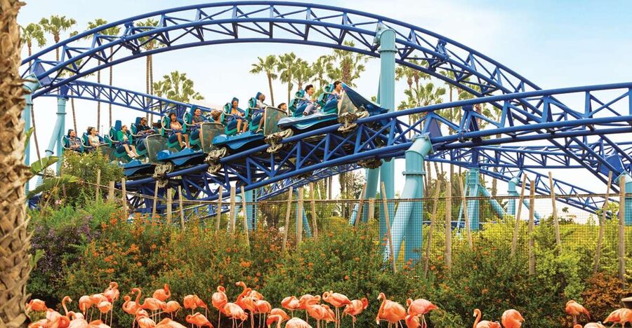 San Diego: SeaWorld Skip-the-Line Park Admission Ticket - What the Skip-the-Line Ticket Actually Does (and Doesn’t)