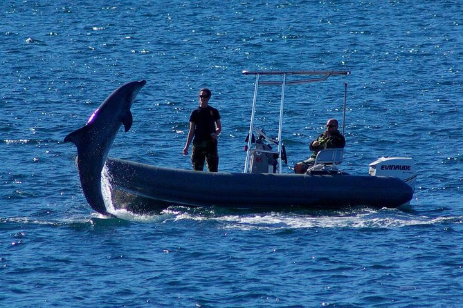 San Diego Whale Watching Cruise - Comfort and seasickness: the onboard setup that helps you enjoy the ride