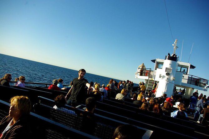San Diego Whale Watching Cruise - Who should book this cruise, and who might want a backup plan