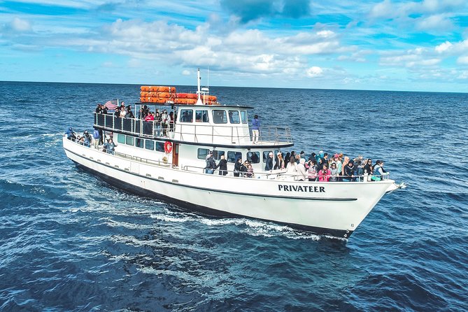 San Diego Whale Watching & Dolphin Cruise - Clothing Tips for an Ocean That Feels Colder Than You Think