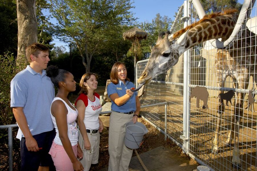 San Diego Zoo: 1-Day Admission Ticket - Choosing your route: Discovery Outpost, Polar Bear Plunge, and Elephant Odyssey