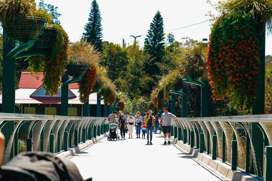 San Diego Zoo: 1-Day Admission Ticket - Polar bears and that Arctic research feel