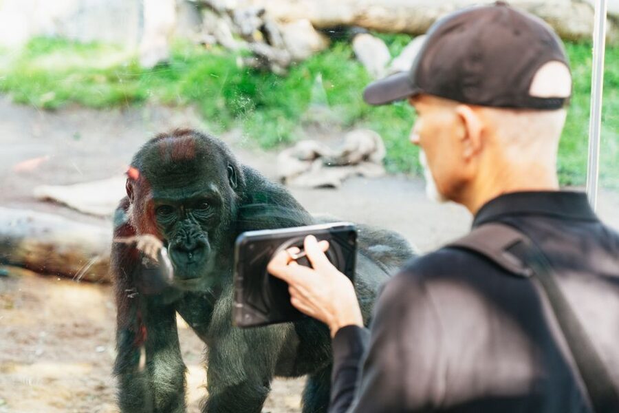 San Diego Zoo: 1-Day Admission Ticket - Skyfari aerial tram: the easiest way to end the day strong