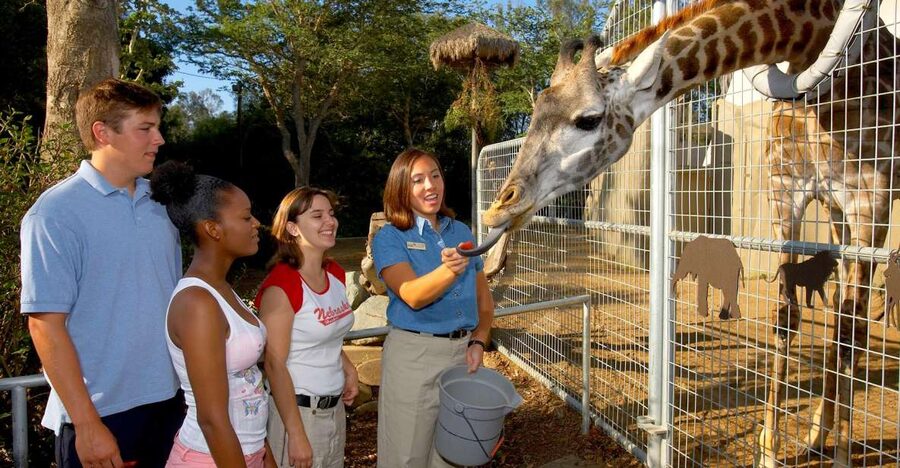San Diego Zoo: 1-Day Admission Ticket - Getting in fast: turnstiles, mobile vouchers, and lines you may still face