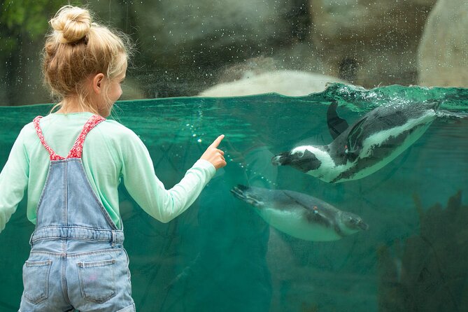 San Diego Zoo 1-Day Pass: Any Day Ticket - Your Best Route: Visitor Center Map, Then Transport Shortcuts