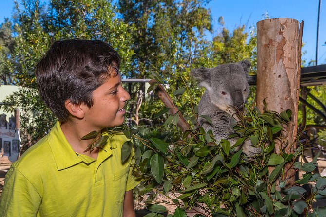 San Diego Zoo 1-Day Pass: Any Day Ticket - Zoo Keeper Talks and Nursery Time: Where Learning Makes the Zoo Click