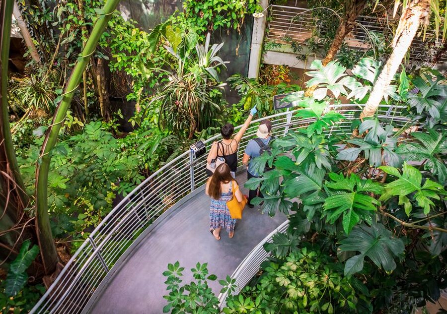 San Francisco: California Academy of Sciences Entry Ticket - Price Value Check: What $49 Gets You, and Where Costs Can Sneak In