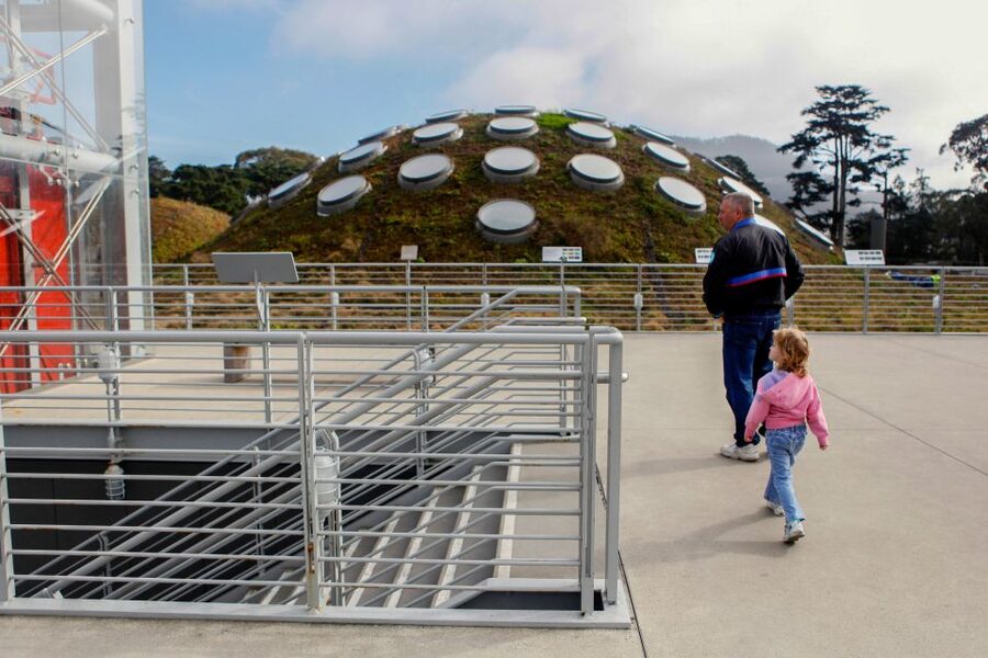 San Francisco: California Academy of Sciences Entry Ticket - Timing Your Day: How Long You Actually Need