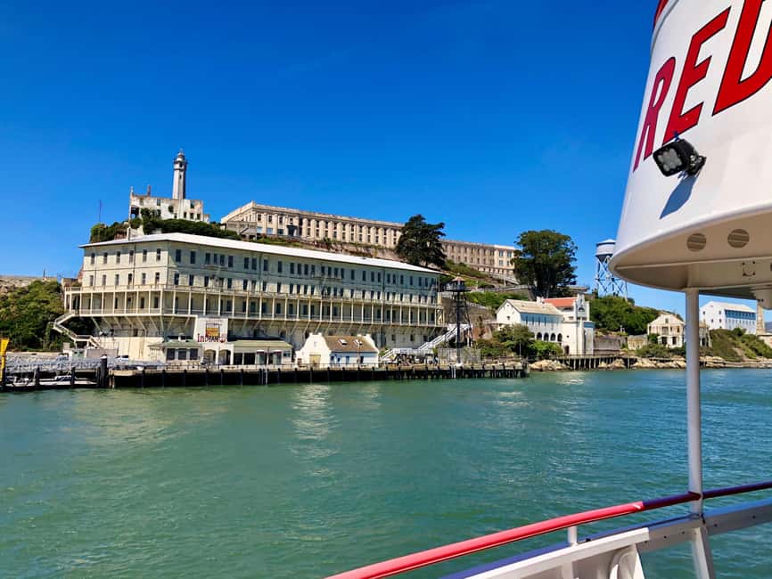 San Francisco: Golden Gate Bay Cruise - Wildlife Watching Notes: Plan for Finds, Not Certainty