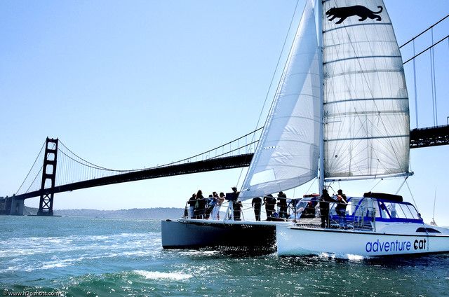 San Francisco: Golden Gate Bridge Catamaran Cruise - Looking for sea lions, then watching for surprise wildlife