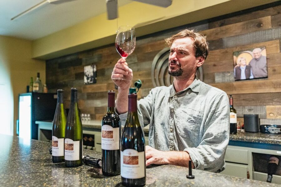 San Francisco: Half-Day Wine Country Excursion with Tastings - Key things to know before you go