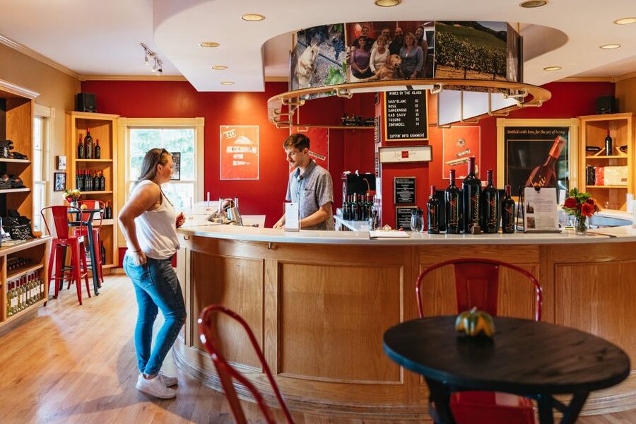 San Francisco: Half-Day Wine Country Excursion with Tastings - Comfortable Coach, Group Energy, and Why the Guide Matters