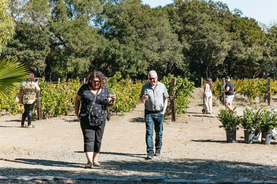 San Francisco: Half-Day Wine Country Excursion with Tastings - Winery Stop #2: Signature Blends, Vineyard Walking Time, and a Change of Pace