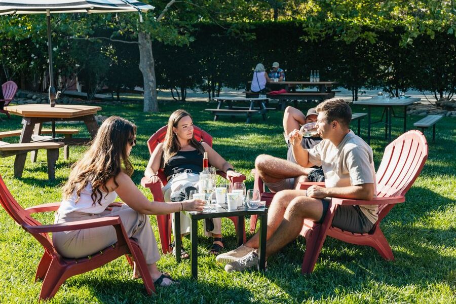 San Francisco: Half-Day Wine Country Excursion with Tastings - How the Tastings Add Up, and How to Taste Smarter (Not Sloppier)