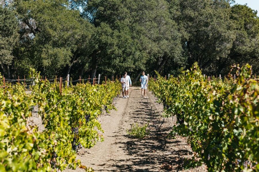San Francisco: Half-Day Wine Country Excursion with Tastings - Price and Value: What $109 Buys You Besides Wine