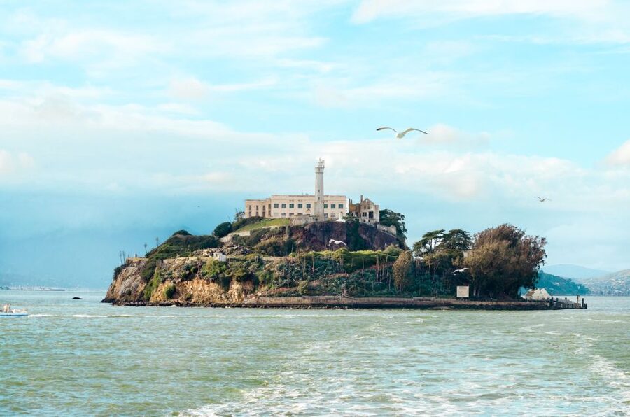 San Francisco: Hop-On Hop-Off Bus with Ferry & Alcatraz Tour - Haight-Ashbury and the Painted Ladies at Alamo Square