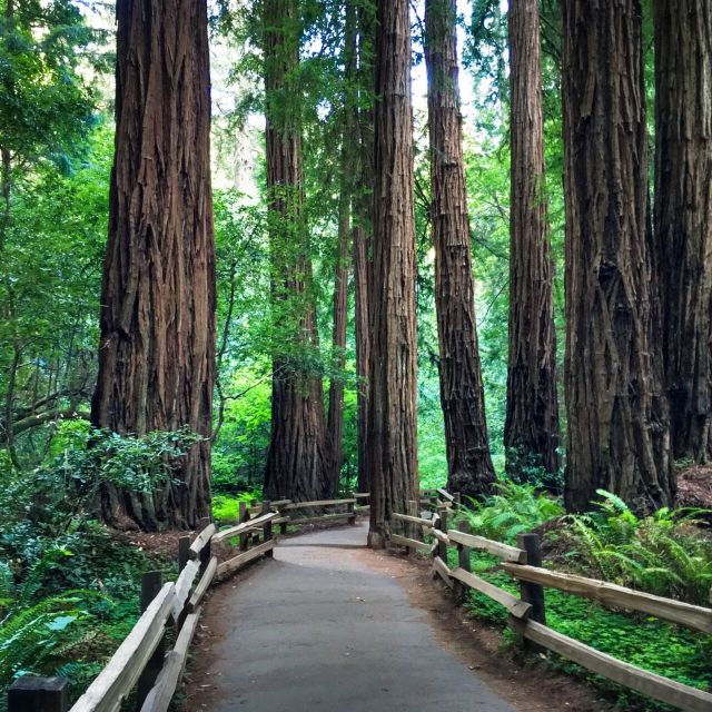 San Francisco: Hop-On Hop-Off Sightseeing Tour with 17 Stops - Your full loop explained, from North Beach to Pier 39