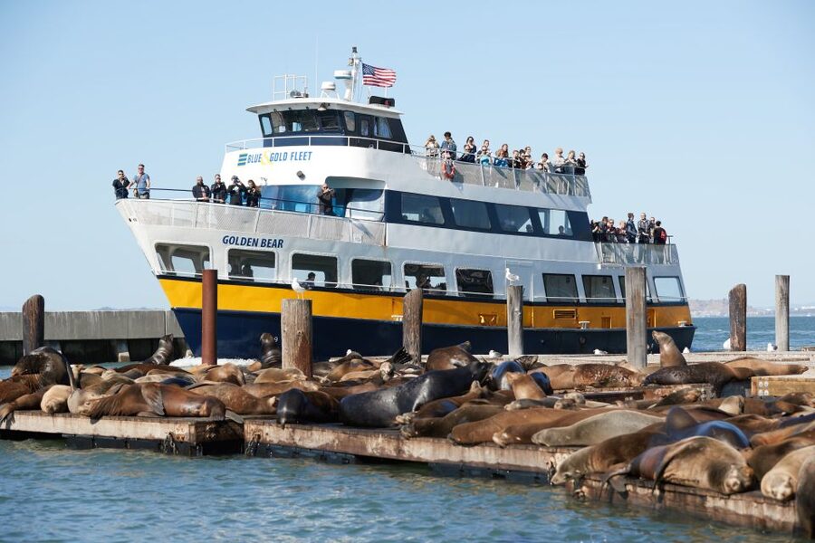 San Francisco: Inside Alcatraz Tour with Bay Cruise - Rules That Affect Comfort: Bags, Pets, and Weather