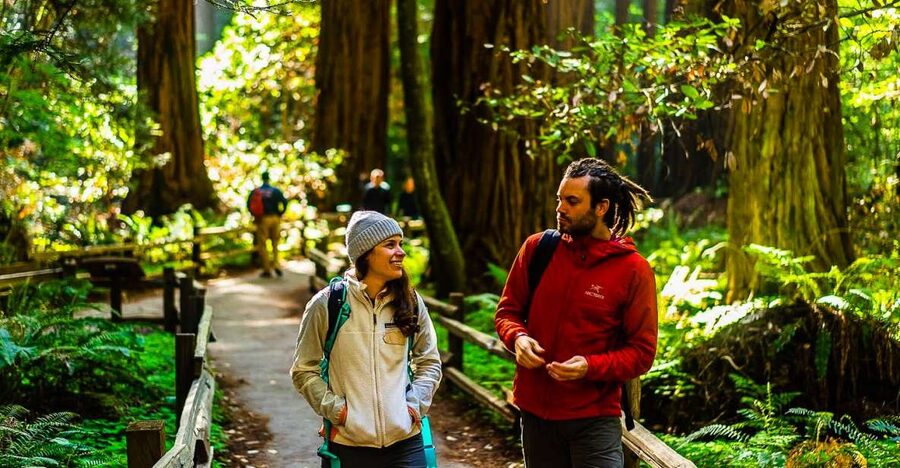 San Francisco: Muir Woods and Sausalito Half-Day Trip - The drive through Marin: when fog cooperates, your photos benefit