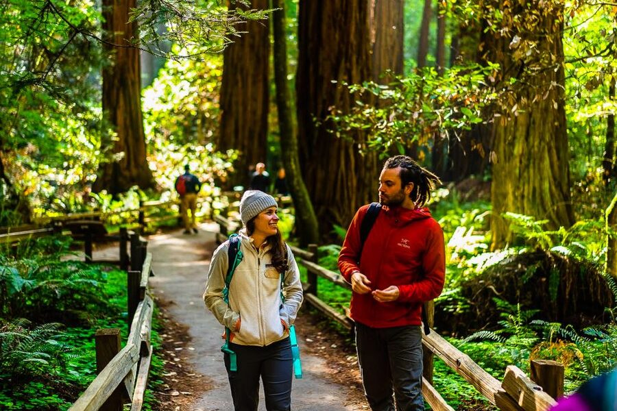 San Francisco: Muir Woods and Sausalito Half-Day Trip - Price and value: is $95 for a half-day fair?