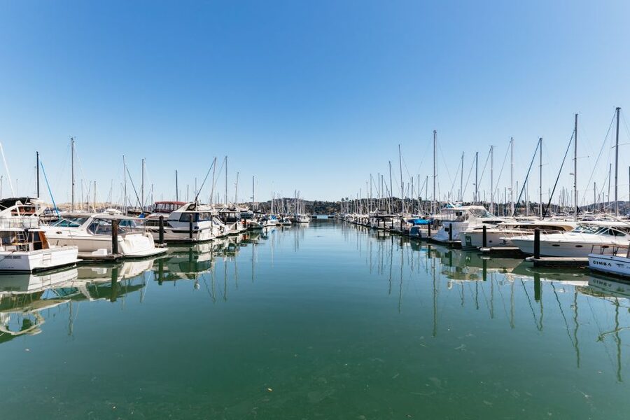 San Francisco: Muir Woods and Sausalito Small-Group Tour - The ride through the city to Marin sets your expectations